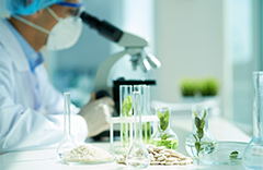 植物冬季氮吸收能力及利用策略