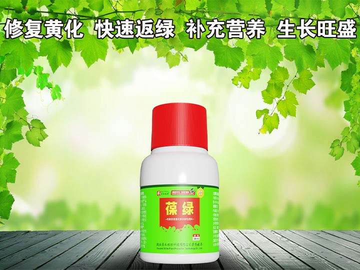 葆绿（50ml*100瓶/箱）