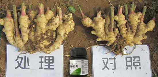 微信图片_20200418162818.jpg